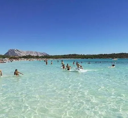 La Rosa City Centre Apartment Olbia